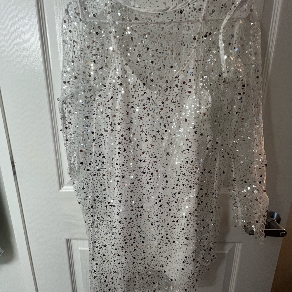Sequin Sheer Dress